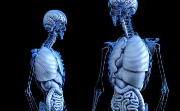 4 Ways to Take Care of Your Gut Health