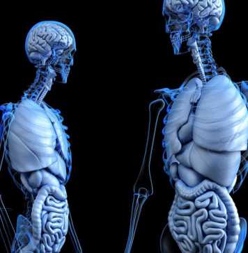 4 Ways to Take Care of Your Gut Health