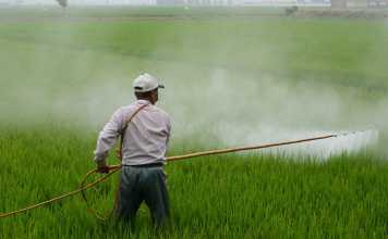 A Guideline for Women for the Use of Pesticide Chemicals at Home