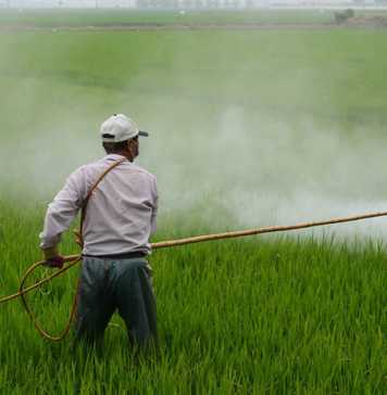 A Guideline for Women for the Use of Pesticide Chemicals at Home