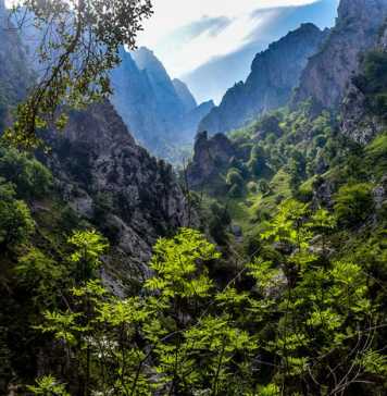 7 Hikes for Fitness Lovers in Spain