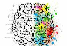 Ways of Keeping Your Brain Fit and Young