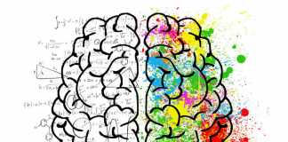 Ways of Keeping Your Brain Fit and Young