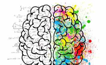 Ways of Keeping Your Brain Fit and Young