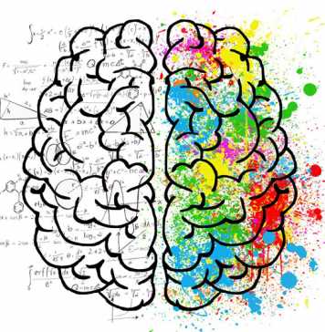 Ways of Keeping Your Brain Fit and Young