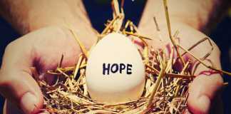 Donating Your Eggs: Common Questions