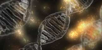 Does DNA Testing Determine the Quality of Your Life?