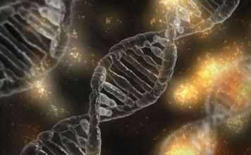 Does DNA Testing Determine the Quality of Your Life?