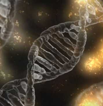 Does DNA Testing Determine the Quality of Your Life?