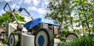 How to Hide Eyesores in Your Garden