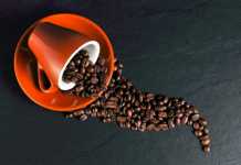 5 Weird and Interesting Facts About Coffee