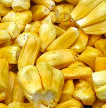 8 Health Benefits of Eating Jackfruit