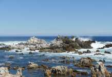 Four Beautiful Seasons In Kleinmond