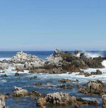 Four Beautiful Seasons In Kleinmond