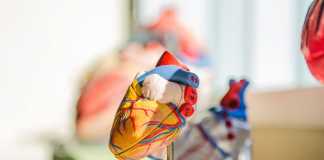 How To Prepare For Medical School