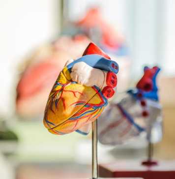 How To Prepare For Medical School