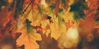 Awesome Autumn Date Ideas