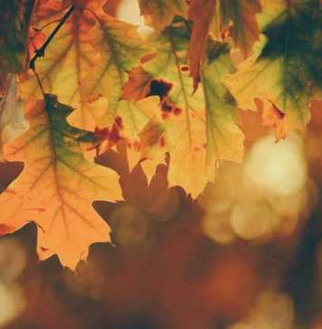 Awesome Autumn Date Ideas