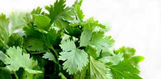 Tips on Storing Foods for Longer