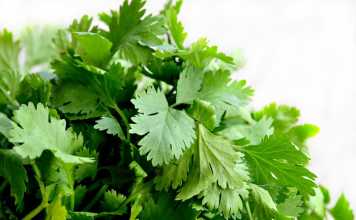 Tips on Storing Foods for Longer