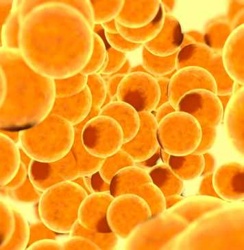Most Common Immunity Myths