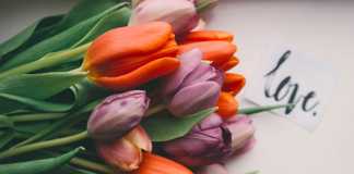 How to Pick the Right Flowers for All Occasions