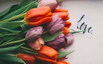 Surprise Your Mother with a Mother’s Day Gift