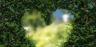 How to Make Your Proposal Extra Special