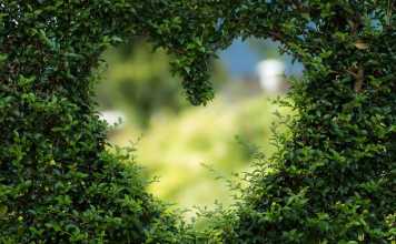 How to Make Your Proposal Extra Special