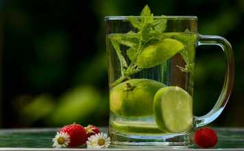 LifeWave CEO David Schmidt Talks Detoxification in Recent Webinar