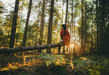 12 Eco-Friendly Habits to Develop