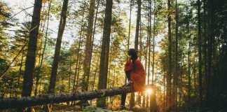 12 Eco-Friendly Habits to Develop