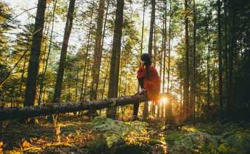 12 Eco-Friendly Habits to Develop