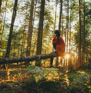 12 Eco-Friendly Habits to Develop