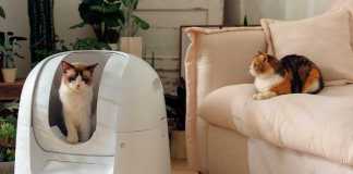 The Most Essential Pet Gadget: Auto Cat Toilet Footloose