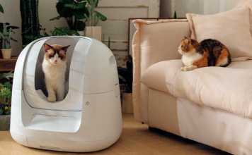 The Most Essential Pet Gadget: Auto Cat Toilet Footloose