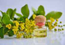 Natural Moisturizer: 6 Surprising Benefits of Jojoba Oil for the Best Skin of Your Life