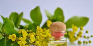 Natural Moisturizer: 6 Surprising Benefits of Jojoba Oil for the Best Skin of Your Life