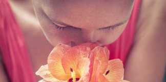 Most Extraordinary Scents for Winter 2018-2019