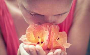 Most Extraordinary Scents for Winter 2018-2019