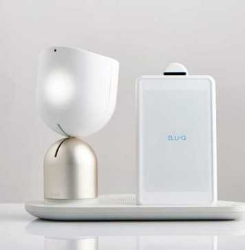 Companion Robot ElliQ for the Elderly