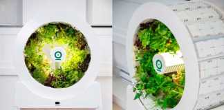 Awesome Indoor Farm OGarden