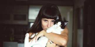 12 Signs You’re A Crazy Cat Person