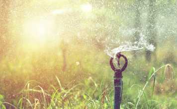 An Insight Into Irrigation – How To Set Up An Irrigation System