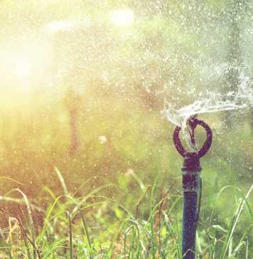 An Insight Into Irrigation – How To Set Up An Irrigation System