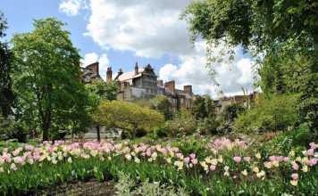 5 Wonderful Gardens in the UK that you need to Visit