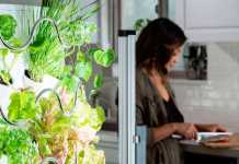 Vertical Indoor Garden Iharvest Grows Veggies Twice as Fast