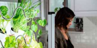 Vertical Indoor Garden Iharvest Grows Veggies Twice as Fast