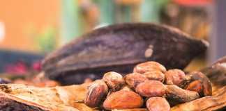 Foods You’ve Been Eating Wrong the Whole Time