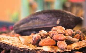 6 Unique Superfoods with Healing Benefits